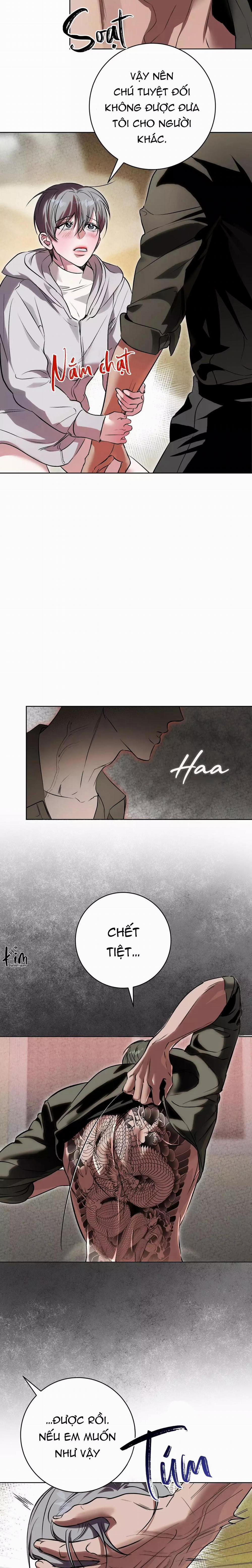 TUYỂN TẬP CUỒNG CÔNG-CHIẾM HỮU CÔNG CỦA NHÀ KIM 46.4 trang 1