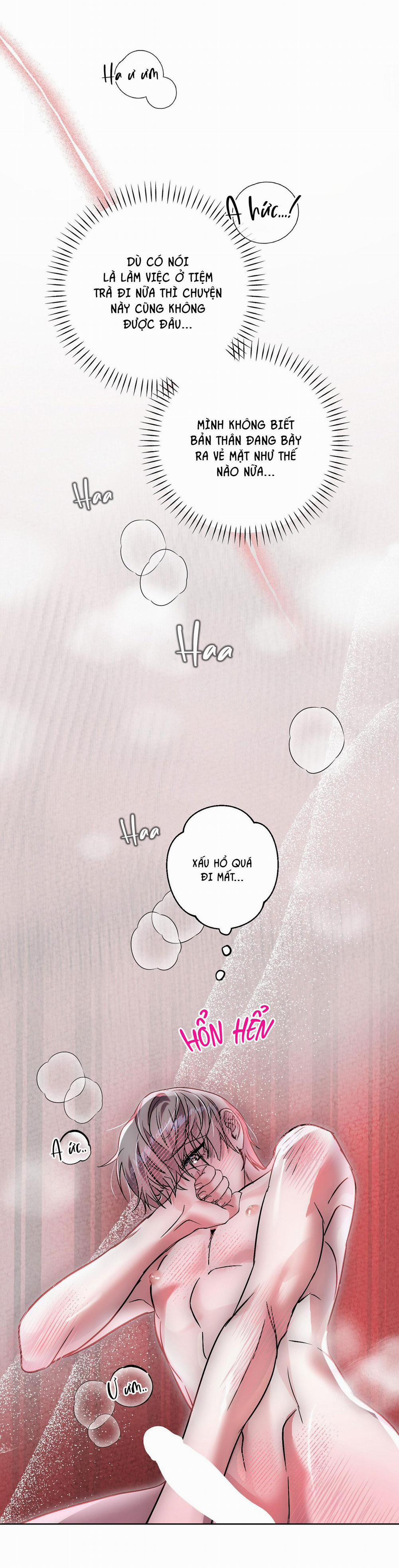 TUYỂN TẬP CUỒNG CÔNG-CHIẾM HỮU CÔNG CỦA NHÀ KIM 46.5 tiệm trà end trang 6