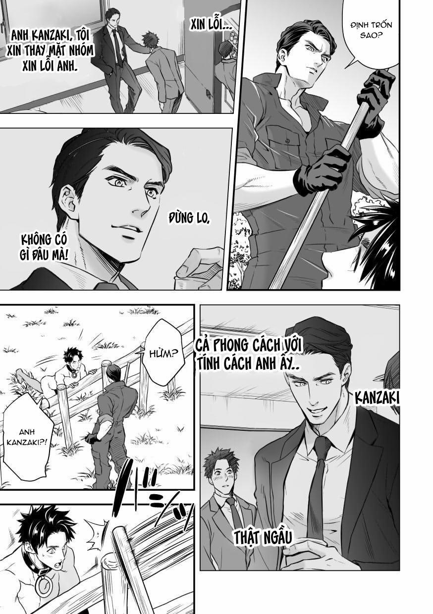 TUYỂN TẬP GÂY NỨNG NHÀ RÔ 412.1 trang 28