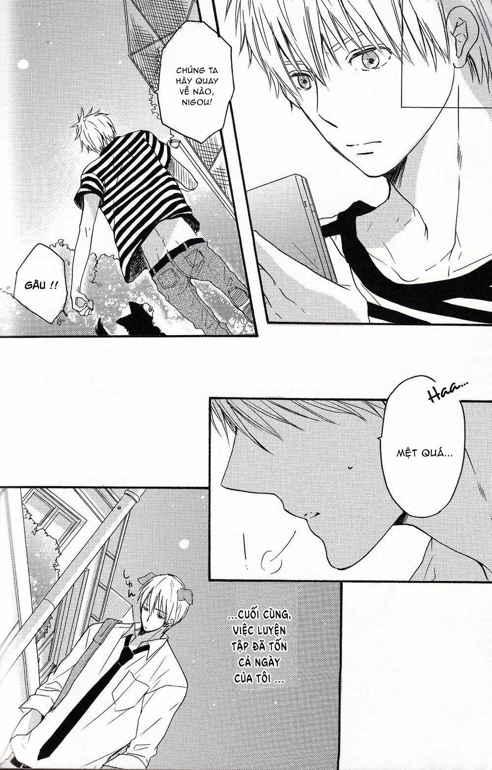 Tuyển Tập Kuroko No Basket 2 trang 21