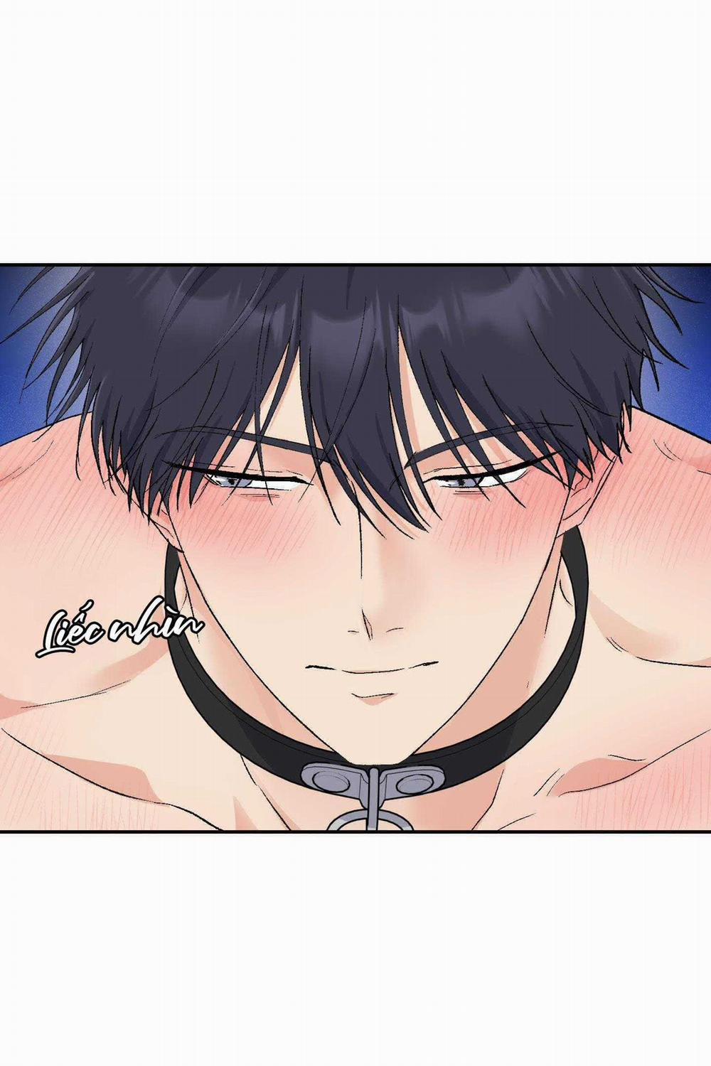 Tuyển Tập Ngực Bự Mlem - BDSM Của Nhà Kim 175.5 trang 5