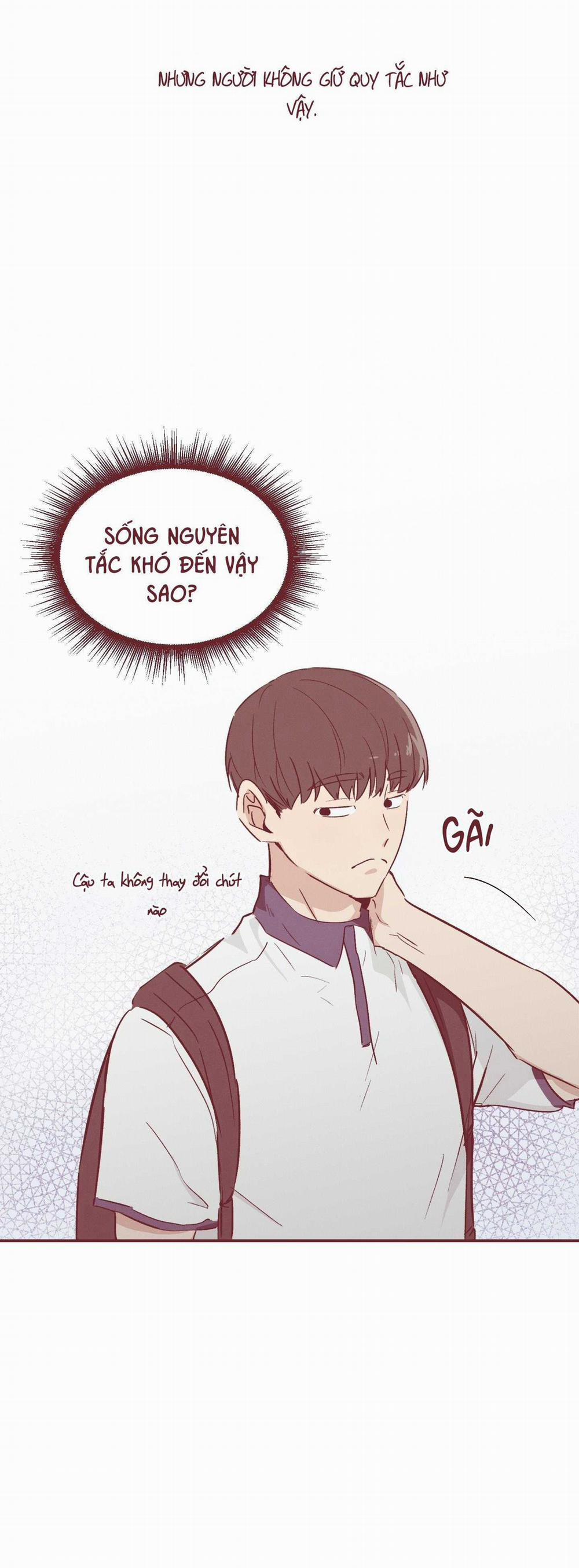 Tuyển Tập Ngực Bự Mlem - BDSM Của Nhà Kim 176.1 trang 4