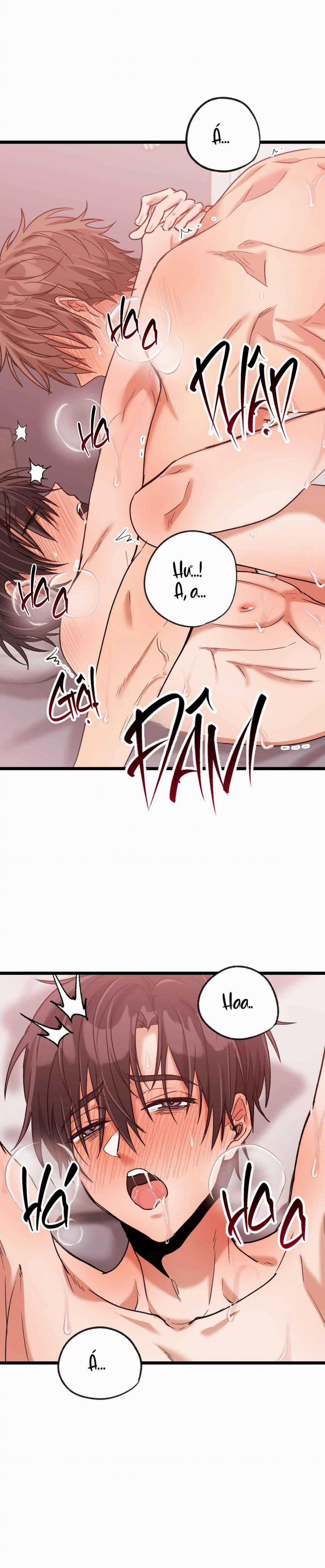 Tuyển Tập Ngực Bự Mlem - BDSM Của Nhà Kim 178.4 trang 2