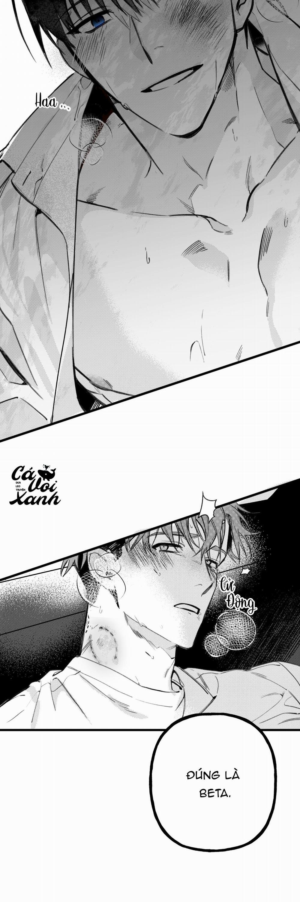 Tuyển tập những bộ truyện ngắn của nhà Cá Voi Xanh 1 trang 4