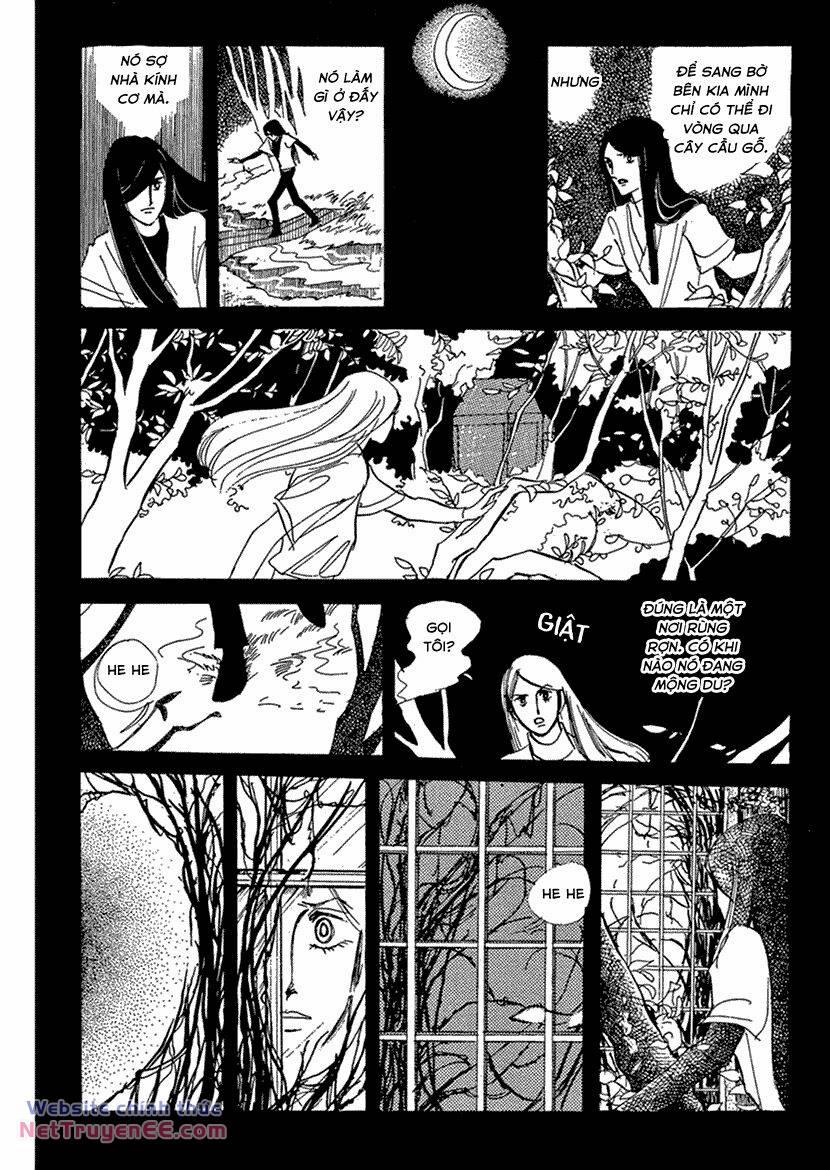 Tuyển Tập Truyện Ngắn Của Hagio Moto 14 trang 27