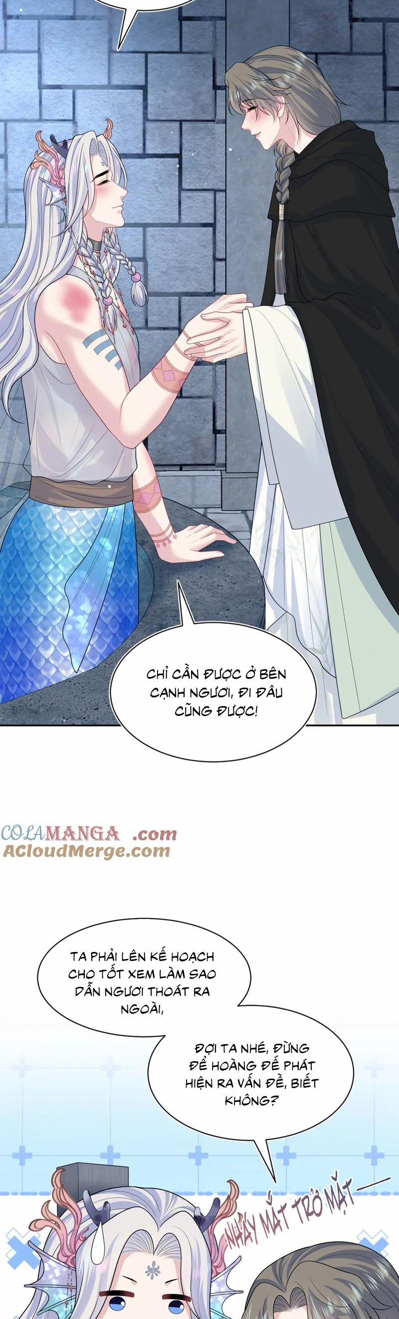 Tuyệt Mỹ Bạch Liên Online Dạy Học 394 trang 12