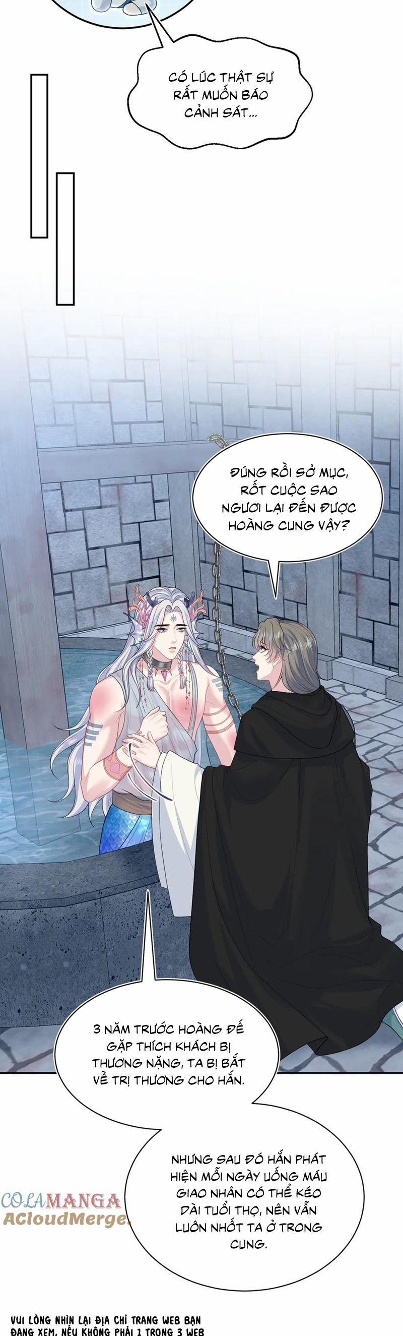 Tuyệt Mỹ Bạch Liên Online Dạy Học 394 trang 8