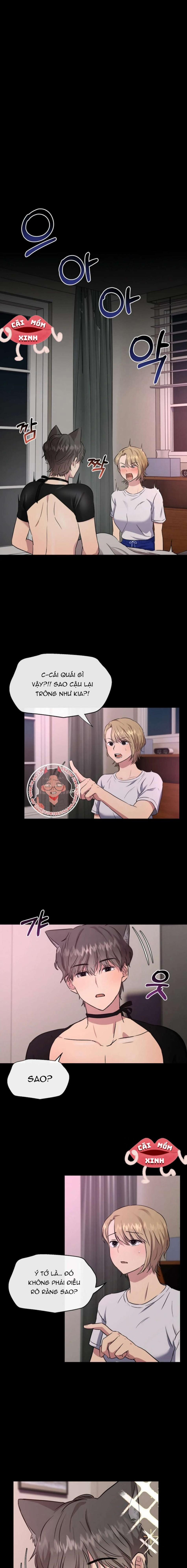 Twenty Nights 3 trang 1