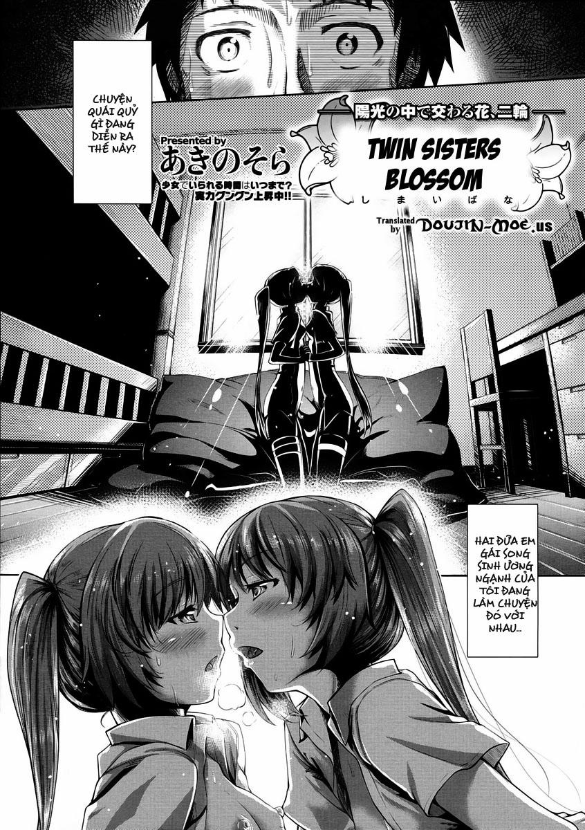 Twin Sisters Blossom Oneshot trang 0
