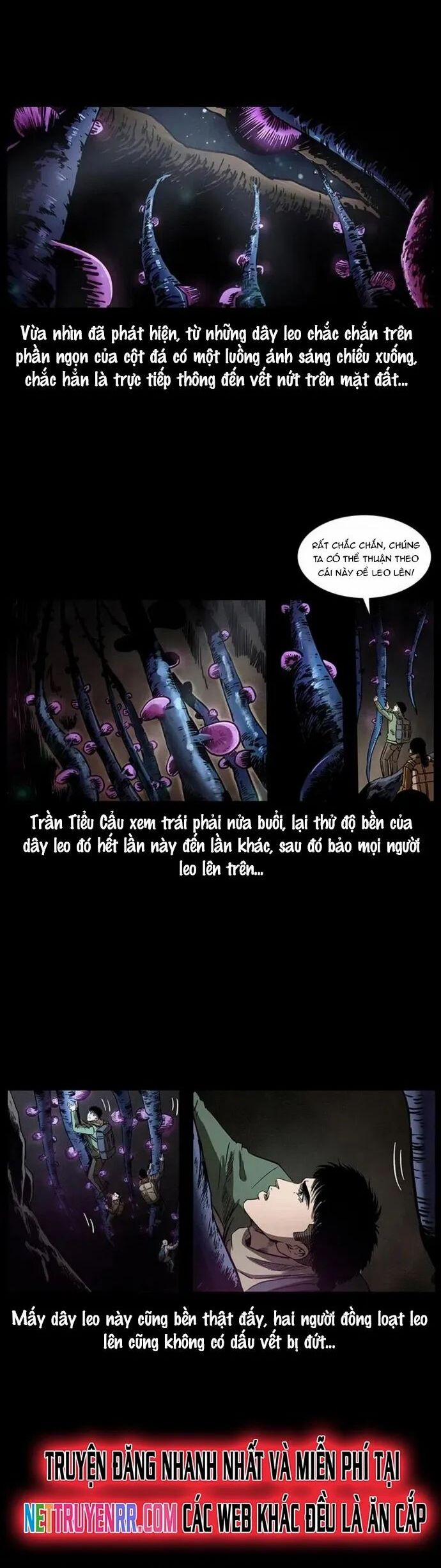 U Minh Ngụy Tượng 322 trang 13