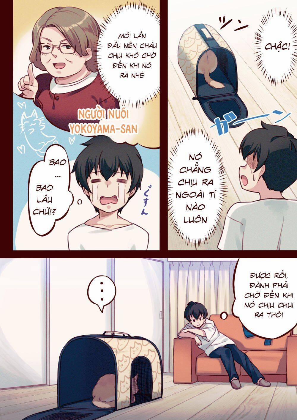 Uchi Ni Neko Ga Yattekita! 1 trang 4