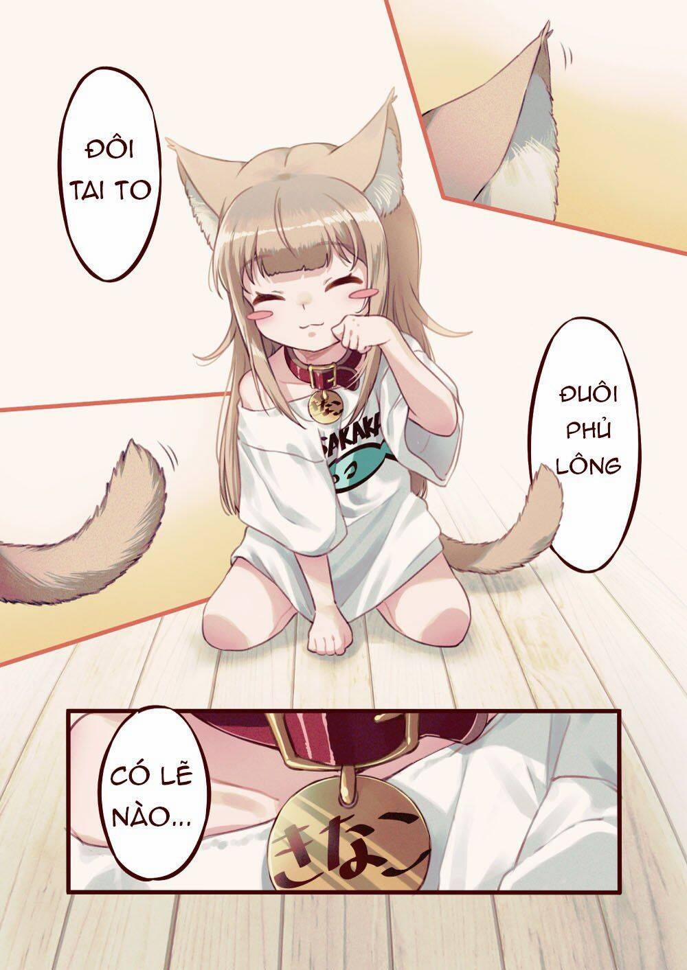 Uchi Ni Neko Ga Yattekita! 1 trang 7