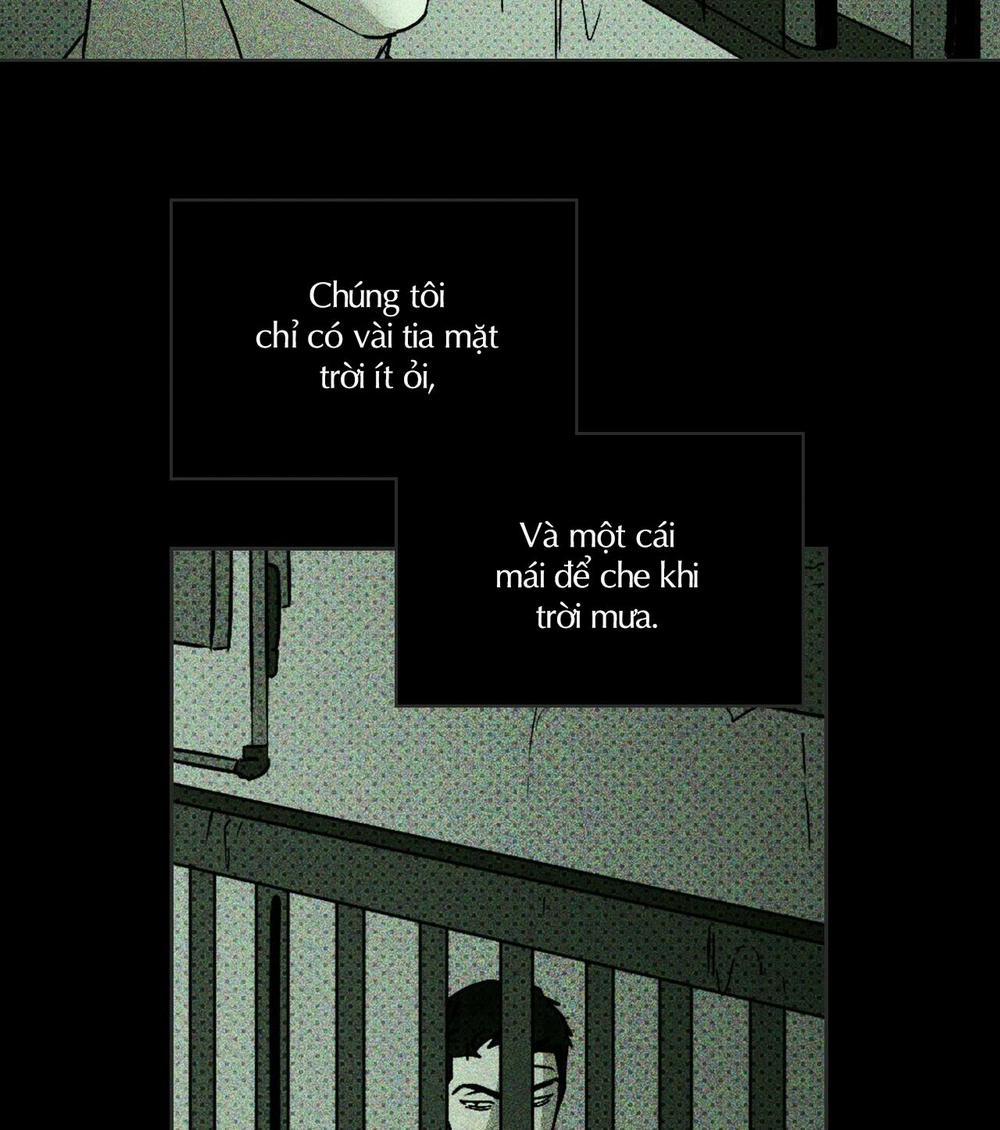 Under The Greenlight 5 trang 28