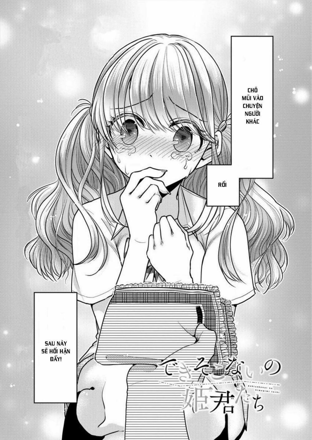 Useless Princesses 2 trang 0