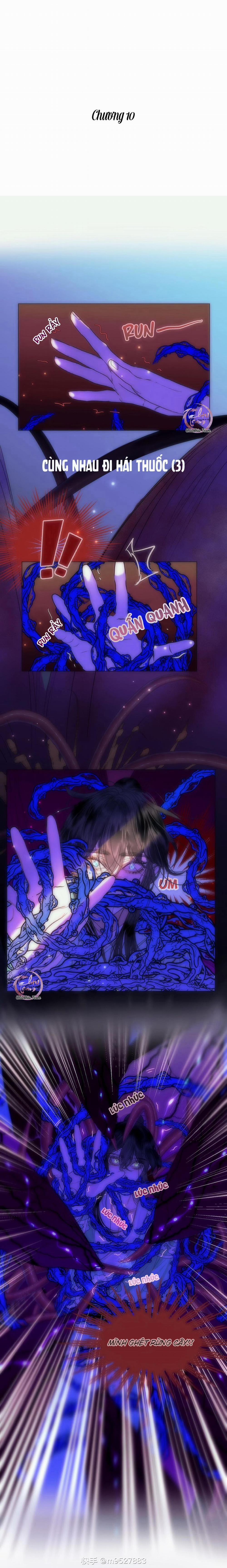 Vài Câu Chuyện Với Sư Tôn Sau Khi Xuyên Sách 10 trang 0