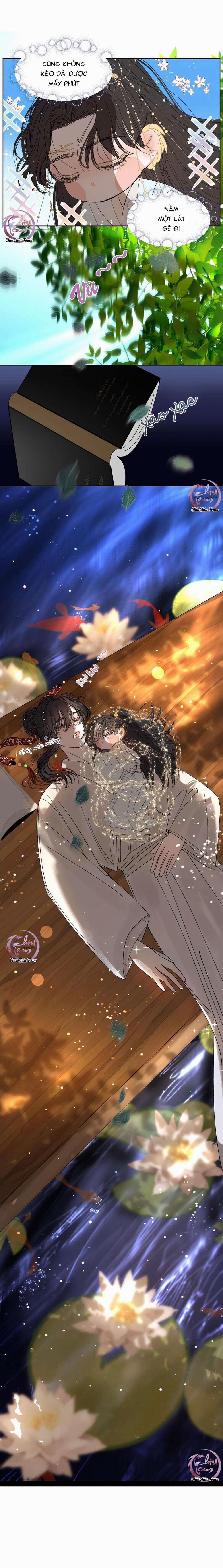 Vài Câu Chuyện Với Sư Tôn Sau Khi Xuyên Sách 50 trang 4