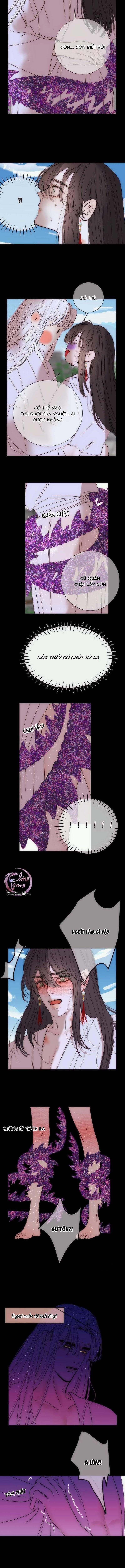 Vài Câu Chuyện Với Sư Tôn Sau Khi Xuyên Sách 66 trang 1