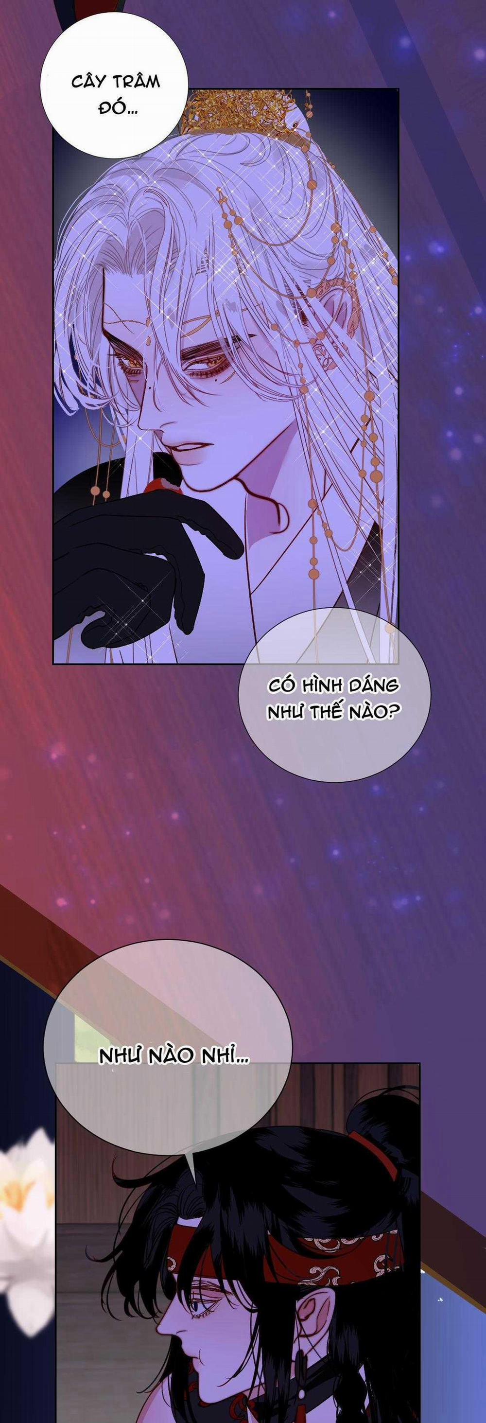 Vài Câu Chuyện Với Sư Tôn Sau Khi Xuyên Sách 72 trang 1