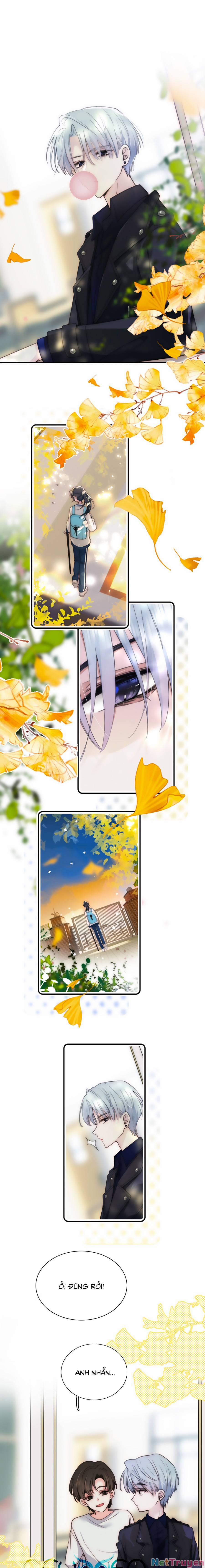 Vẫn Cứ Nuông Chiều 3 trang 0