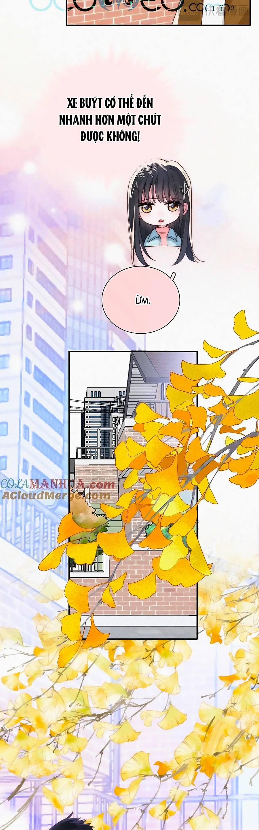 Vẫn Cứ Nuông Chiều 48 trang 13