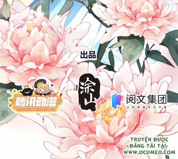 Vấn Đan Chu 17 trang 1