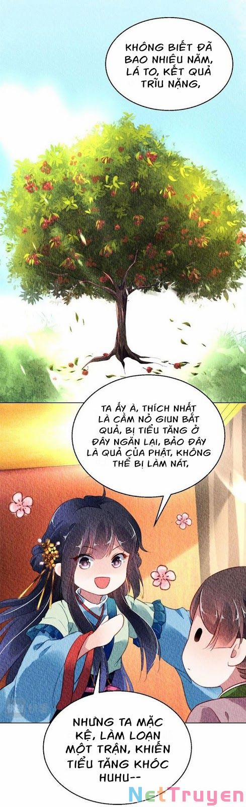 Vấn Đan Chu 29 trang 17