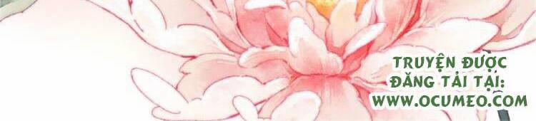 Vấn Đan Chu 34 trang 1