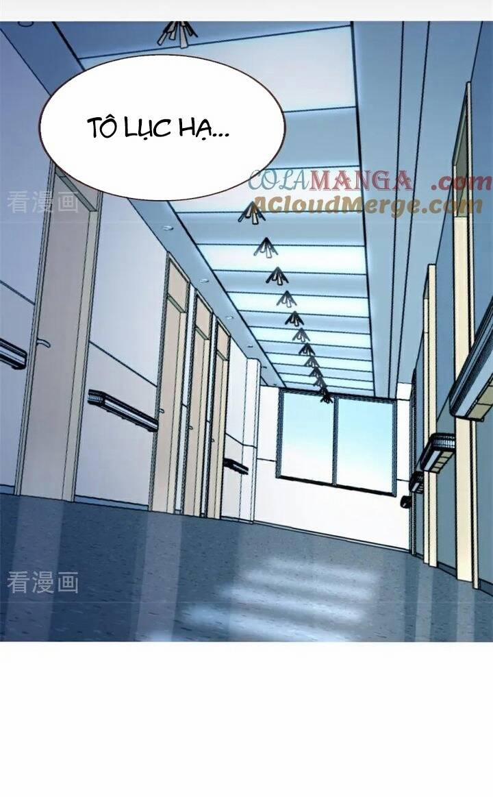 Vạn Tra Triêu Hoàng 795 trang 4