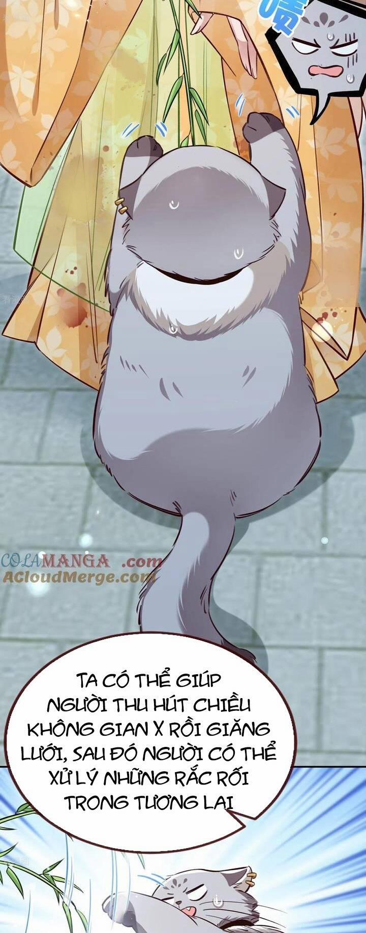 Vạn Tra Triêu Hoàng 800 trang 17