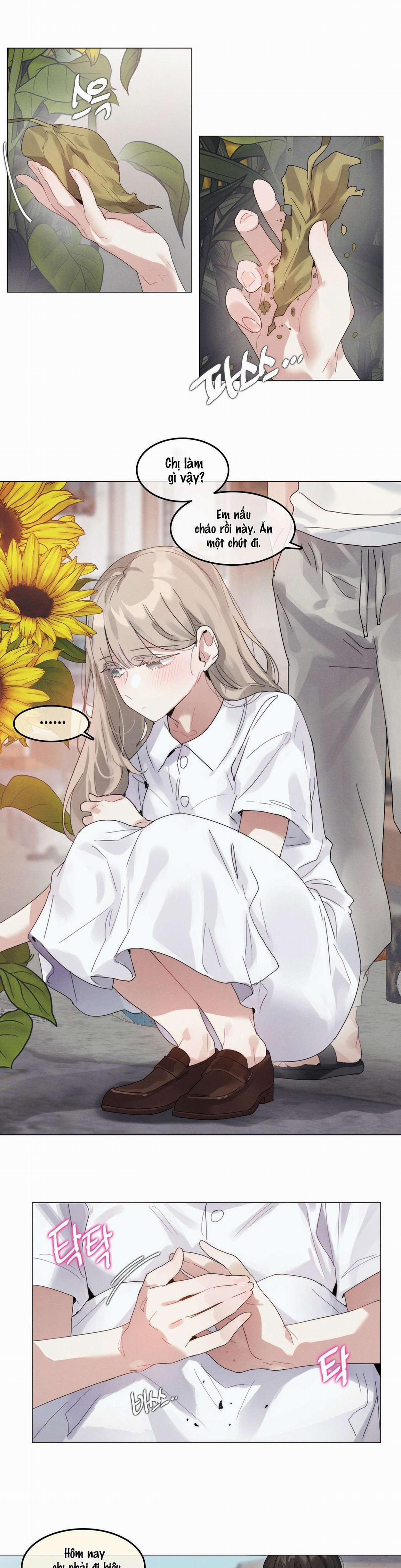 Vào Mùa Hoa Hướng Dương Khẽ Thì Thầm 9 trang 5
