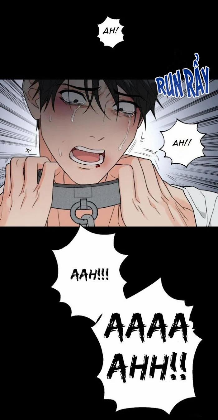 Vẻ Đẹp Bạo Dâm Đam Mỹ Ngoại Truyện 3.1 trang 11