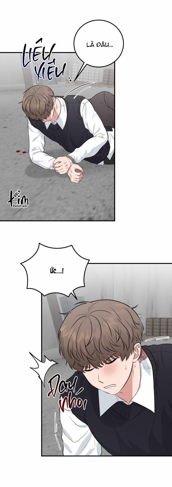 Vẻ Đẹp Bên Trong 15 trang 3