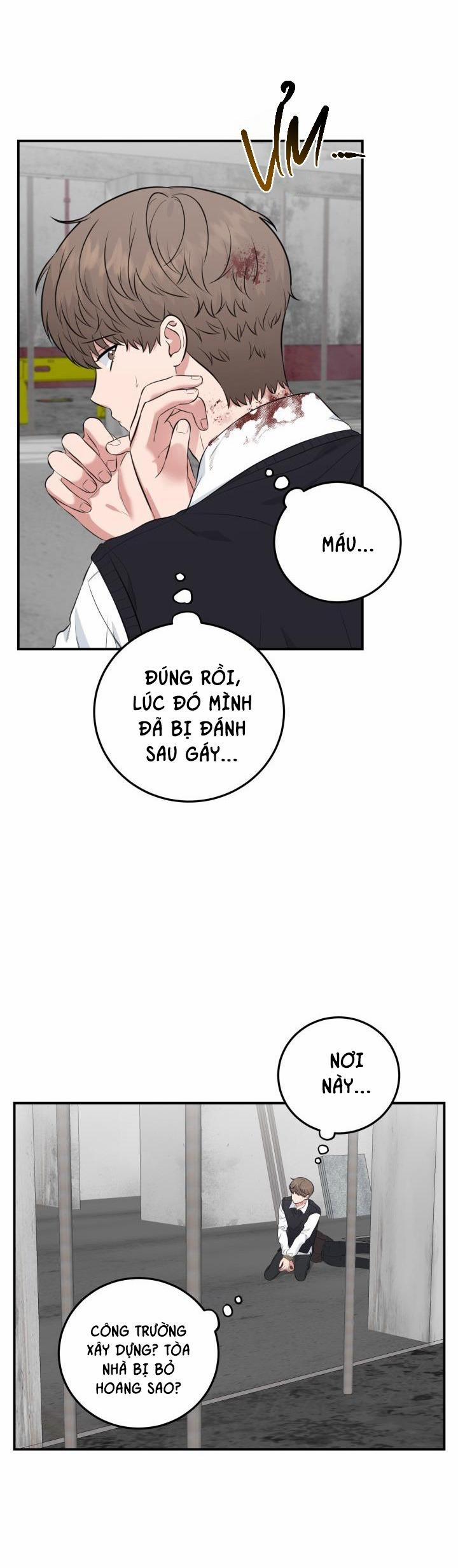 Vẻ Đẹp Bên Trong 15 trang 4