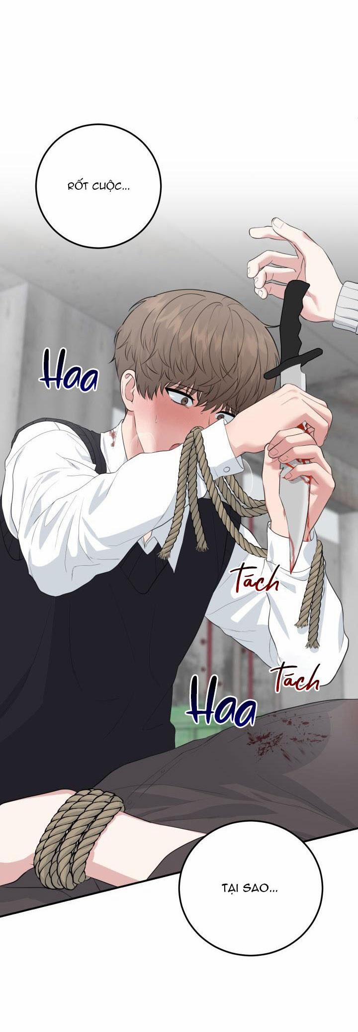 Vẻ Đẹp Bên Trong 16 trang 3