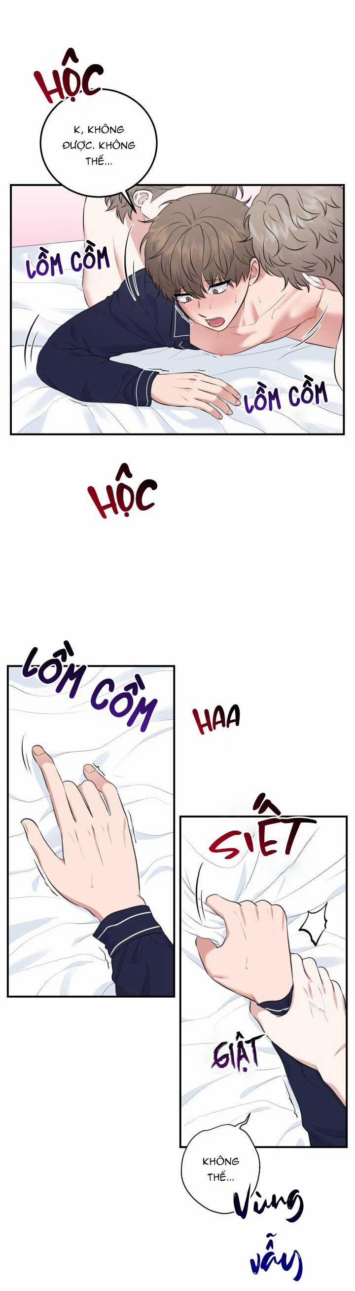 Vẻ Đẹp Bên Trong 17 trang 2