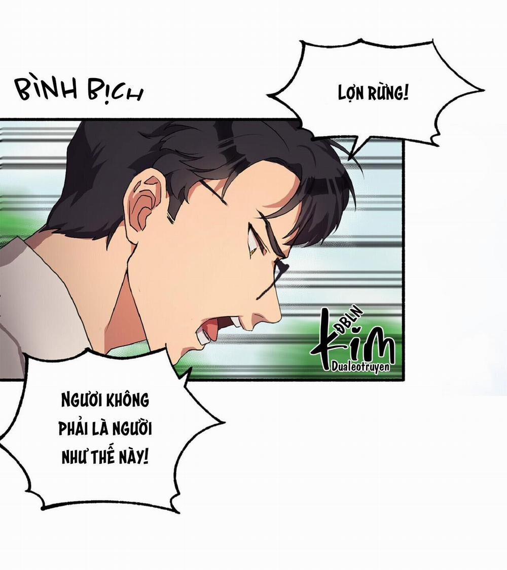 Vẻ Đẹp Bên Trong 17 trang 47