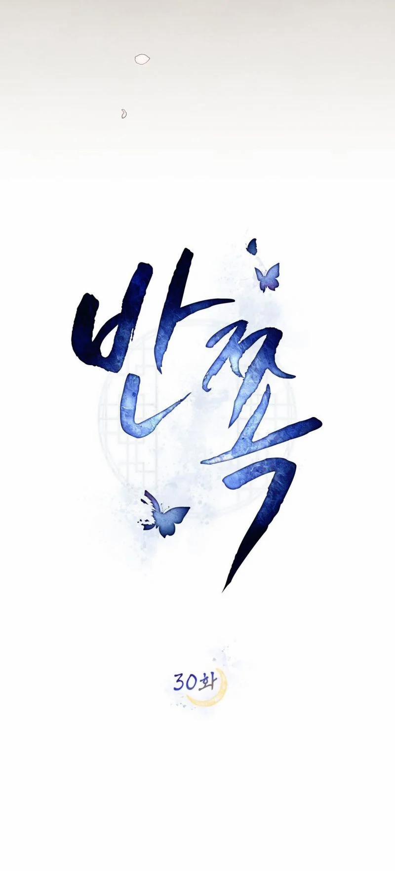 Vẻ Đẹp Không Hoàn Hảo – The Tainted Half 30.5 trang 0