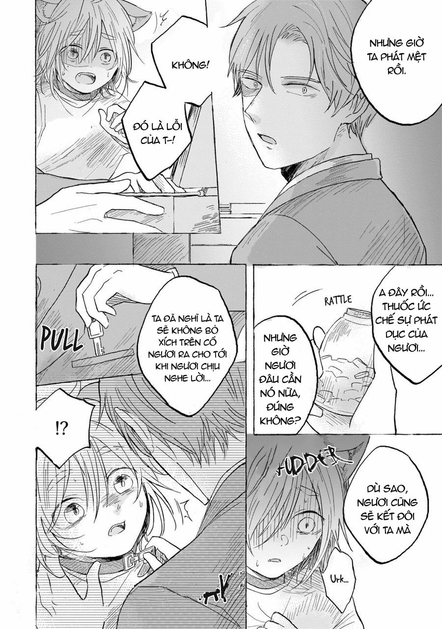 Về Nhà Thôi 6 trang 19