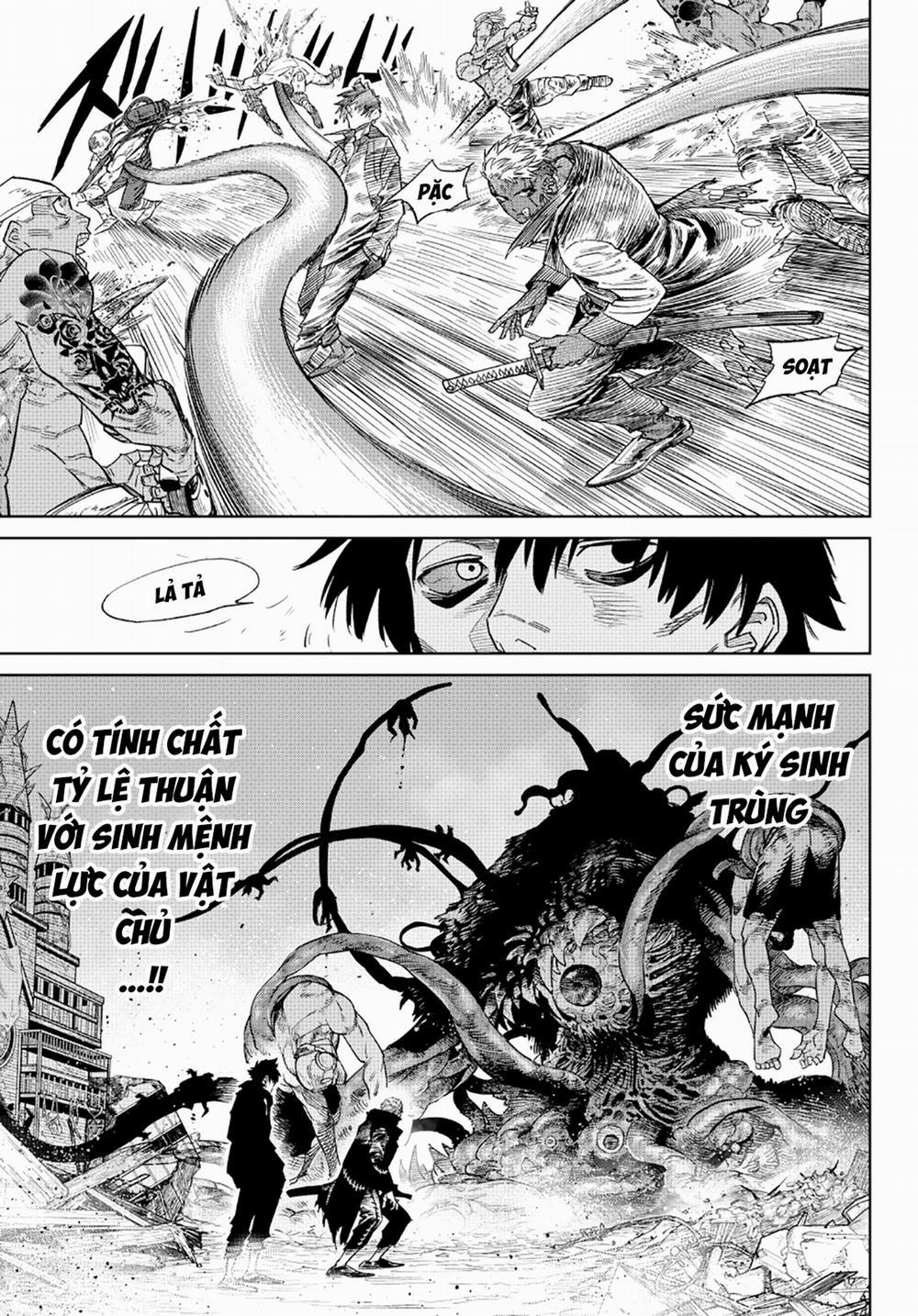 Versus 24.1 trang 17