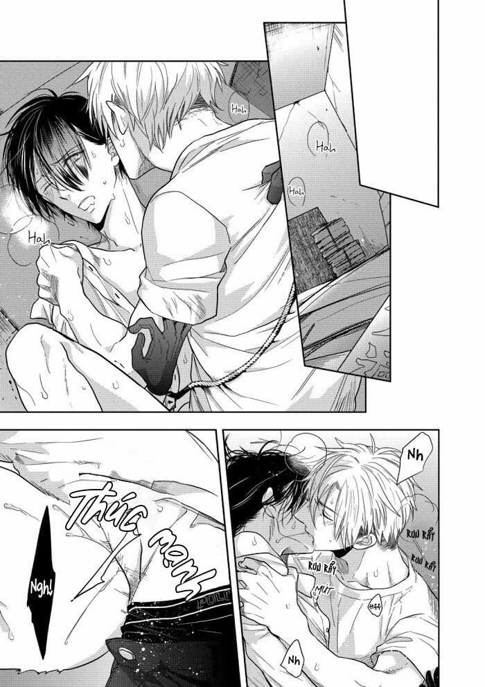 Vết Cắn Ngọt Ngào Damy 4 trang 11