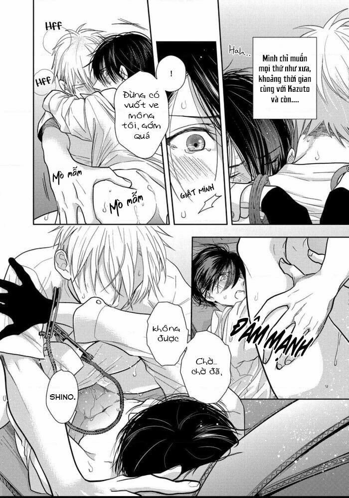 Vết Cắn Ngọt Ngào Damy 4 trang 14