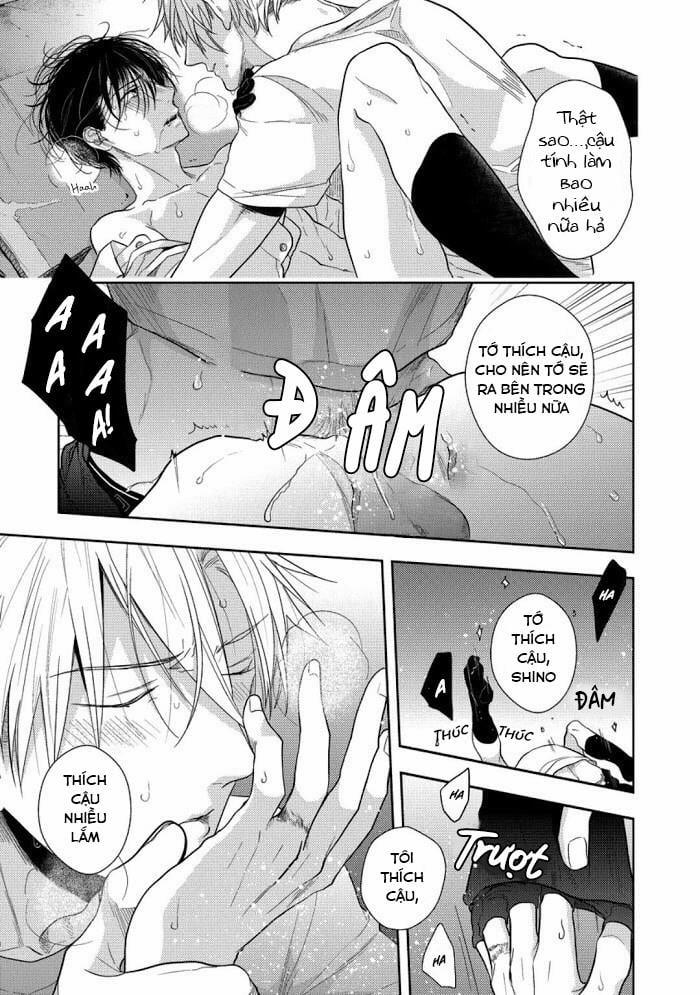 Vết Cắn Ngọt Ngào Damy 4 trang 17