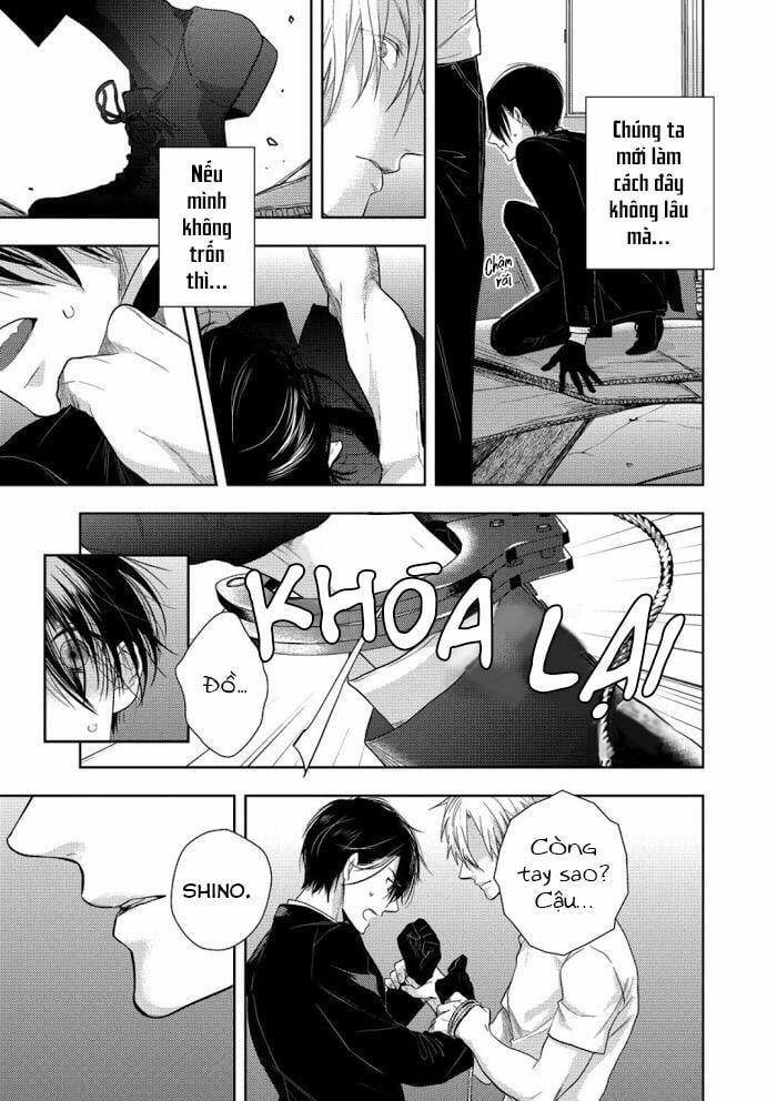 Vết Cắn Ngọt Ngào Damy 4 trang 9