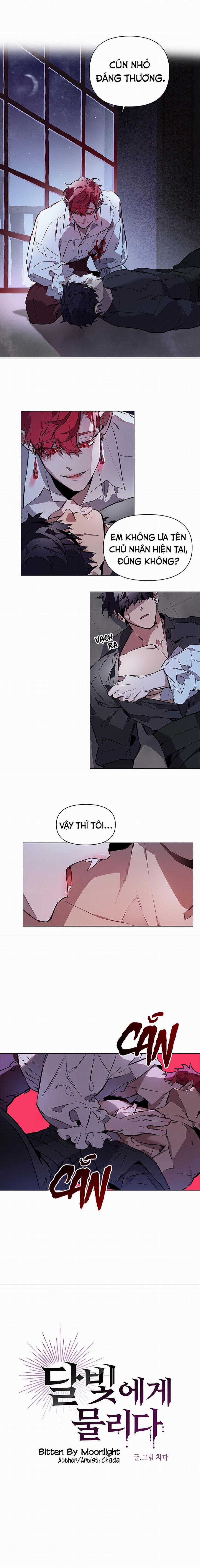 Vết Cắn Sắc Tình Đêm Trăng (Full) 4 trang 1