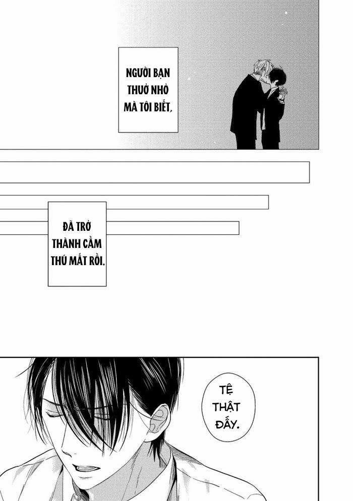 Vết Cắn Tình Yêu 1 trang 19