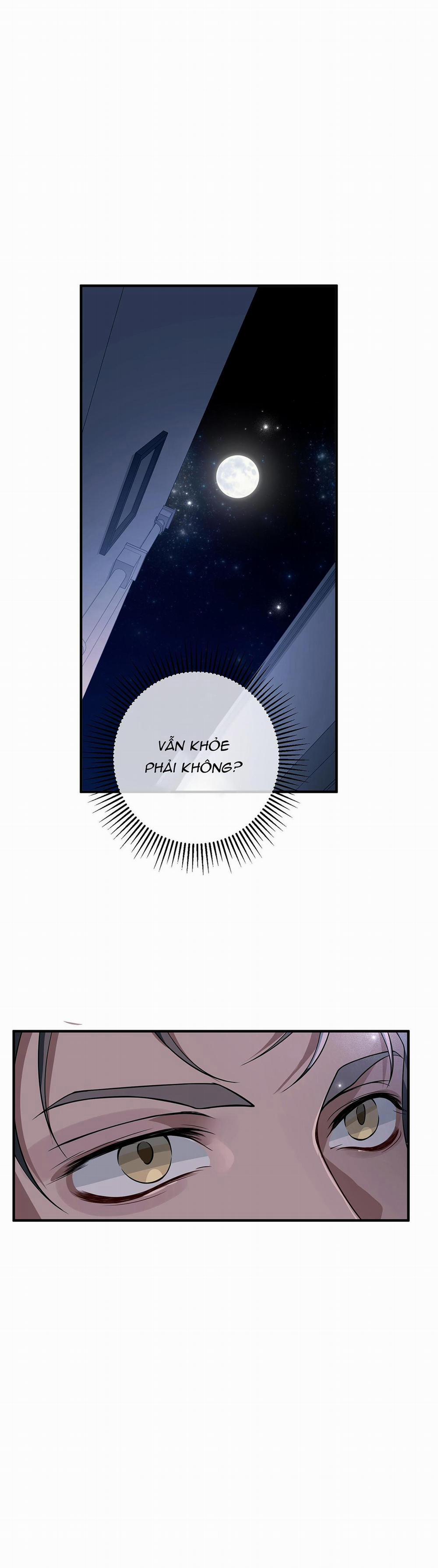 Vết Cắn Tình Yêu 10 trang 28