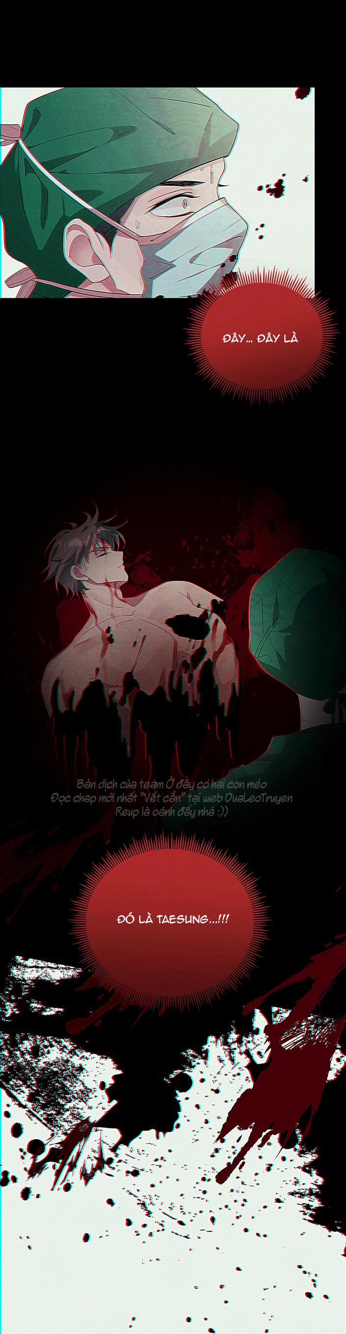 Vết Cắn Tình Yêu 12 trang 11