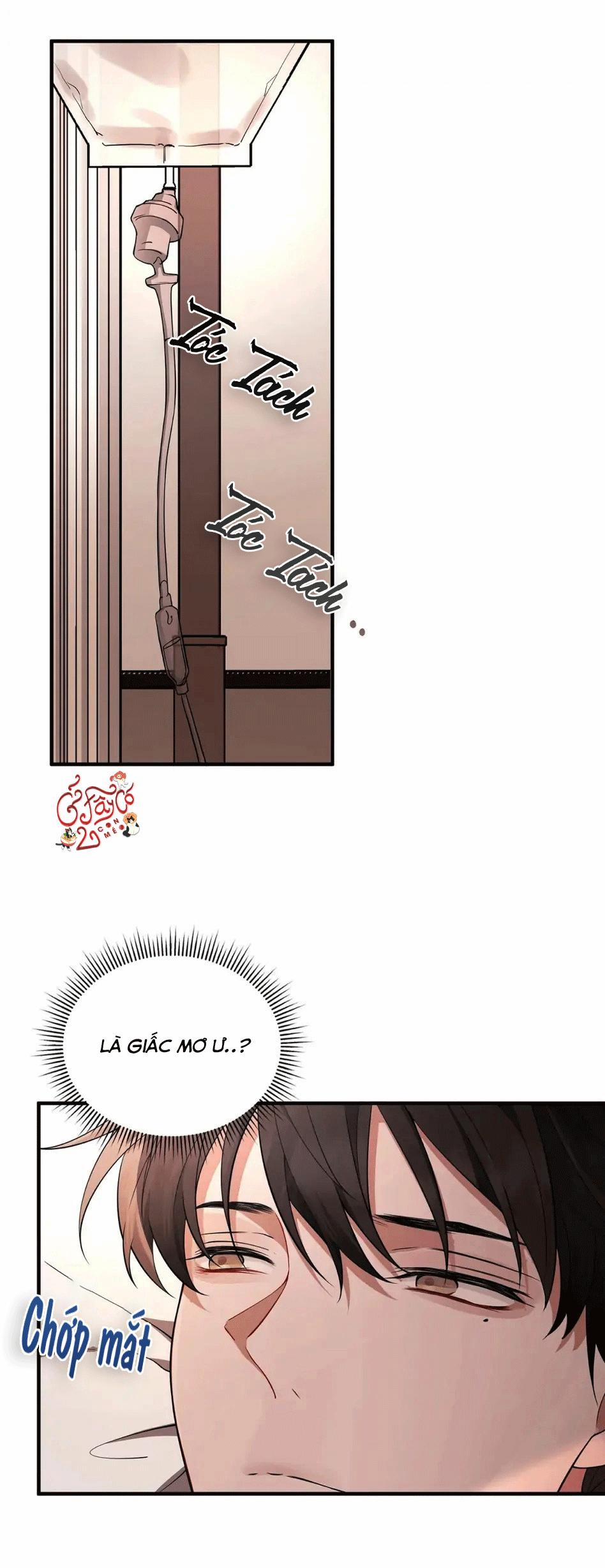Vết Cắn Tình Yêu 14 trang 5
