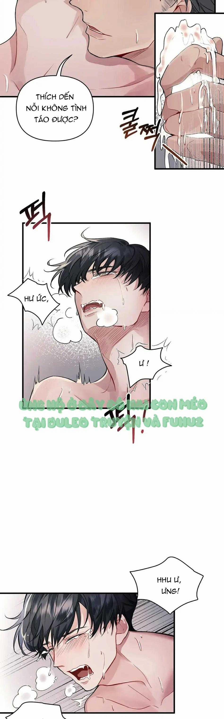 Vết Cắn Tình Yêu 16 trang 8
