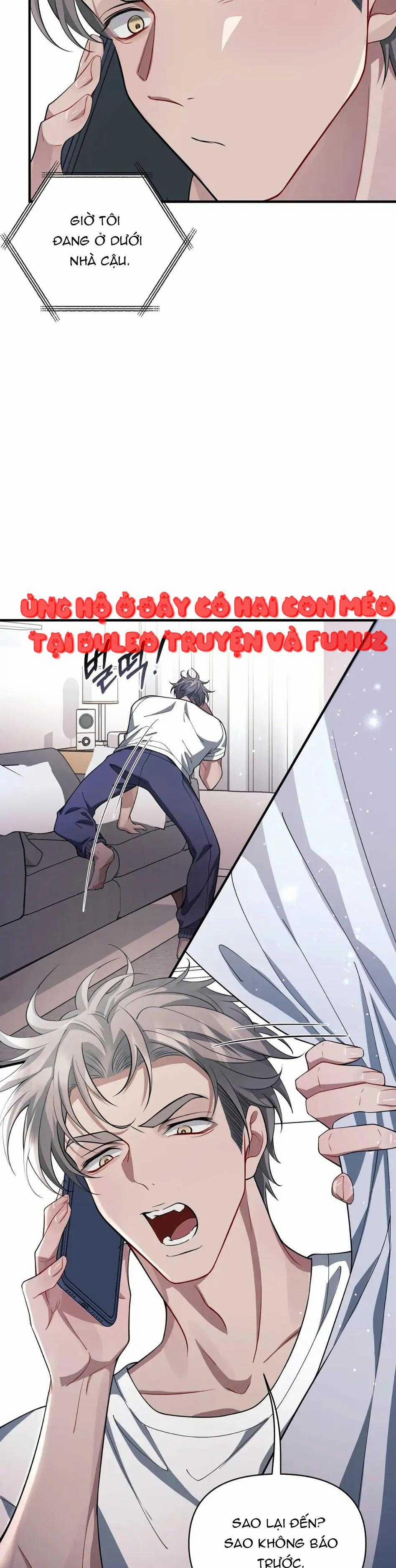 Vết Cắn Tình Yêu 21 trang 8